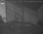 Capi_Dubne_20250331_011003.jpg