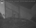 Capi_Dubne_20250331_030502.jpg