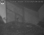 Capi_Dubne_20250331_041002.jpg