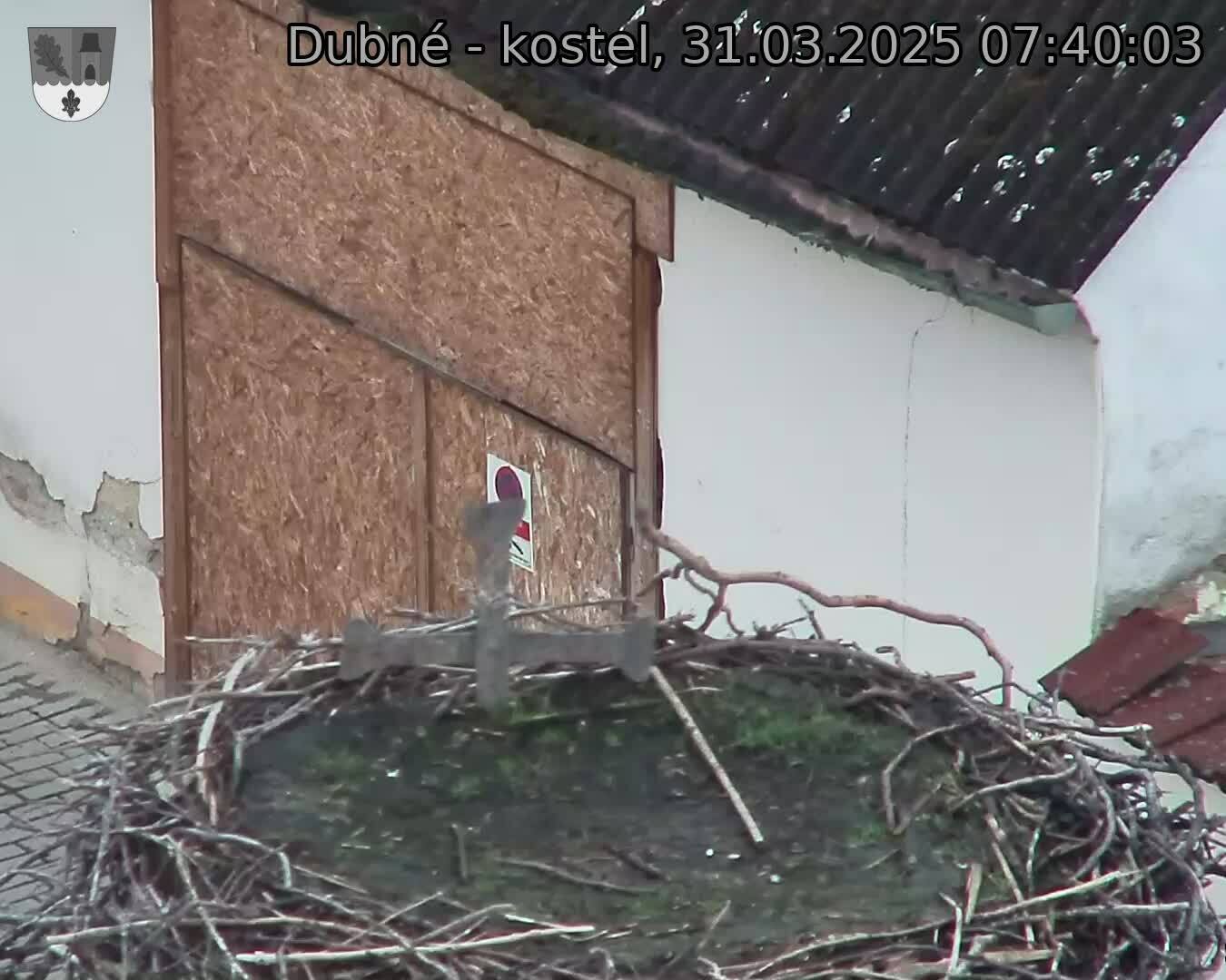Capi_Dubne_20250331_074003.jpg (1350 x 1080)