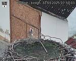 Capi_Dubne_20250331_075003.jpg