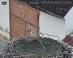 Capi_Dubne_20250331_075503.jpg