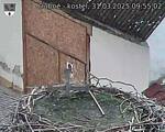 Capi_Dubne_20250331_095502.jpg