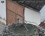 Capi_Dubne_20250331_104003.jpg