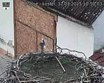 Capi_Dubne_20250331_105003.jpg