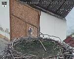 Capi_Dubne_20250331_112003.jpg