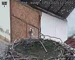 Capi_Dubne_20250331_112502.jpg