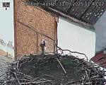 Capi_Dubne_20250331_114002.jpg
