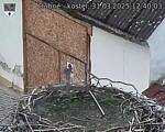 Capi_Dubne_20250331_124003.jpg