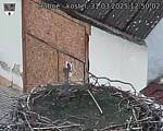 Capi_Dubne_20250331_125002.jpg