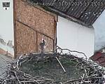 Capi_Dubne_20250331_131503.jpg