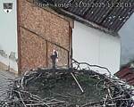 Capi_Dubne_20250331_132003.jpg