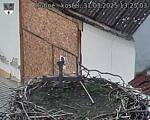 Capi_Dubne_20250331_132503.jpg