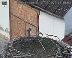 Capi_Dubne_20250331_133003.jpg