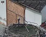 Capi_Dubne_20250331_134003.jpg