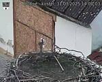 Capi_Dubne_20250331_140003.jpg
