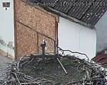 Capi_Dubne_20250331_141003.jpg