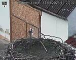 Capi_Dubne_20250331_142002.jpg