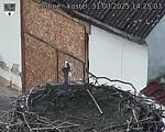 Capi_Dubne_20250331_142503.jpg