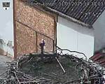 Capi_Dubne_20250331_143003.jpg