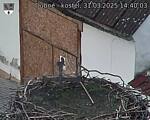 Capi_Dubne_20250331_144003.jpg