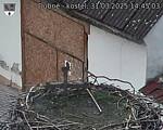 Capi_Dubne_20250331_144503.jpg