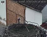 Capi_Dubne_20250331_145003.jpg