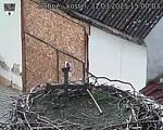 Capi_Dubne_20250331_150003.jpg