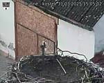 Capi_Dubne_20250331_150502.jpg