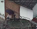 Capi_Dubne_20250331_151003.jpg