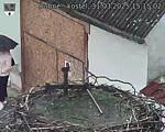 Capi_Dubne_20250331_151502.jpg