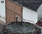 Capi_Dubne_20250331_152503.jpg