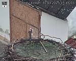 Capi_Dubne_20250331_154503.jpg