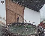 Capi_Dubne_20250331_155003.jpg