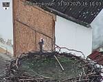 Capi_Dubne_20250331_161003.jpg
