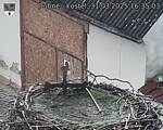 Capi_Dubne_20250331_163503.jpg