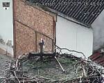 Capi_Dubne_20250331_164002.jpg