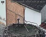 Capi_Dubne_20250331_164503.jpg