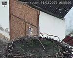 Capi_Dubne_20250331_165503.jpg
