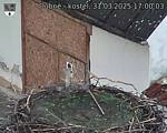 Capi_Dubne_20250331_170003.jpg