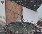 Capi_Dubne_20250331_171002.jpg