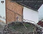 Capi_Dubne_20250331_173503.jpg