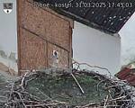 Capi_Dubne_20250331_174503.jpg