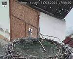 Capi_Dubne_20250331_175502.jpg
