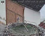 Capi_Dubne_20250331_182003.jpg
