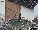 Capi_Dubne_20250331_182503.jpg