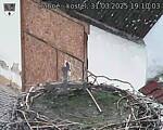 Capi_Dubne_20250331_191003.jpg