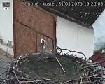 Capi_Dubne_20250331_192003.jpg