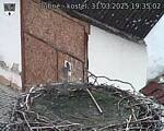 Capi_Dubne_20250331_193502.jpg