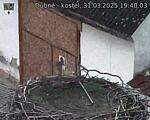 Capi_Dubne_20250331_194003.jpg